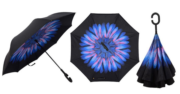 The Upside Down Umbrella